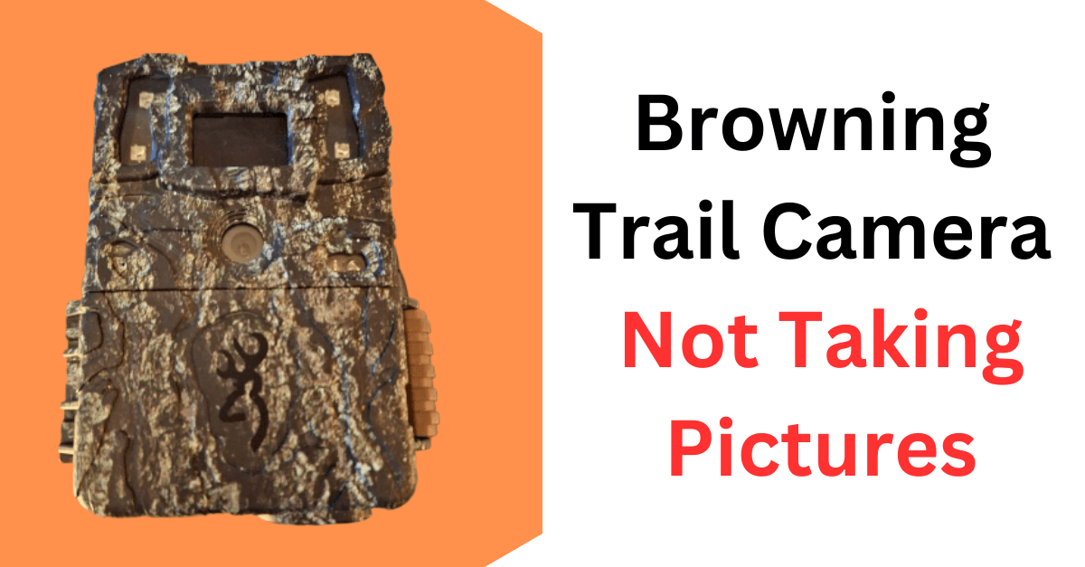 Browning Trail Camera Not Taking Pictures